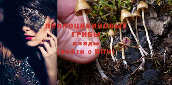 гидропоника Вяземский