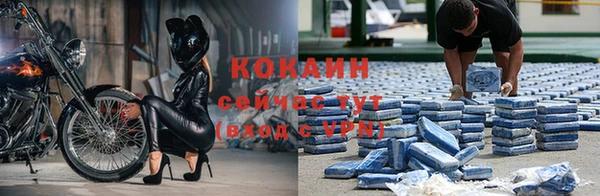 jwh Вязьма